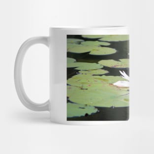 American White Waterlily Mug